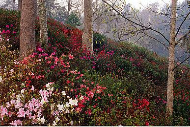 PS5累计出货量达到1720万 PS+用户数达到4800万